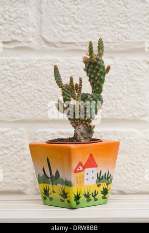 Petit cactus dans un pot de couleur vive contre un mur offwhite. Banque D'Images