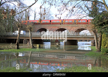Leatherhead, Surrey, Angleterre, Royaume-Uni. 2 février 2014. Après les niveaux exceptionnels de l'eau de pluie à travers le Royaume-Uni, la rivière Mole a éclaté ses banques dans de nombreux endroits à Surrey. Ici dans le sentier Riverside Leatherhead a été englouti par le fleuve et les champs sont sous plusieurs pouces d'eau. La promenade du Pré commun à l'eau sous le pont de chemin de fer et la route est impraticable. Credit : Julia Gavin/Alamy Live News Banque D'Images
