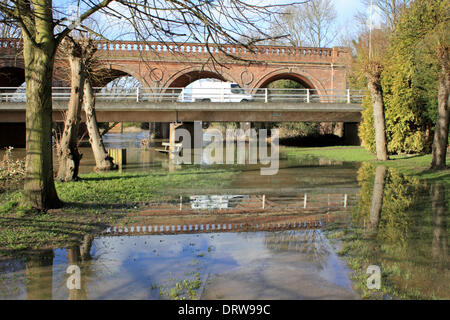 Leatherhead, Surrey, Angleterre, Royaume-Uni. 2 février 2014. Après les niveaux exceptionnels de l'eau de pluie à travers le Royaume-Uni, la rivière Mole a éclaté ses banques dans de nombreux endroits à Surrey. Ici dans le sentier Riverside Leatherhead a été englouti par le fleuve et les champs sont sous plusieurs pouces d'eau. La promenade du Pré commun à l'eau sous le pont de chemin de fer et la route est impraticable. Credit : Julia Gavin/Alamy Live News Banque D'Images