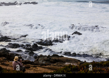 Hautes vagues et de grosses vagues au creux de haricots State Beach, le long de la route 1 dans le Nord de la Californie près de Pescadero California USA Banque D'Images