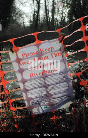 Leatherhead, Surrey, Angleterre, Royaume-Uni. 2 février 2014. Après les niveaux exceptionnels de l'eau de pluie à travers le Royaume-Uni, la rivière Mole a éclaté ses banques dans de nombreux endroits à Surrey, et est très rapide et dangereux. Ici, à Leatherhead un signe posté par mole Valley District Conseil prévient "s'il vous plaît garder à l'écart de cette section de rivière". Credit : Julia Gavin/Alamy Live News Banque D'Images