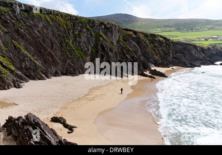 Plage sur la péninsule de Dingle, dans le comté de Kerry, Irlande Banque D'Images