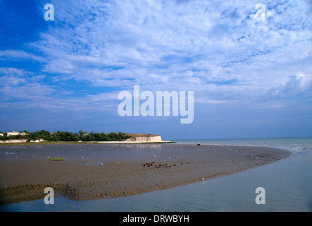 Charente-Maritime France près de Talmont Scène de plage Côte Atlantique Banque D'Images