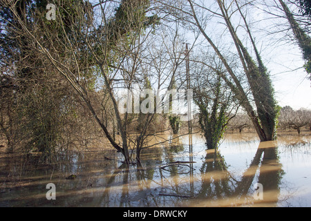 L'eau de l'inondation Yalding UK Europe Angleterre Kent Banque D'Images