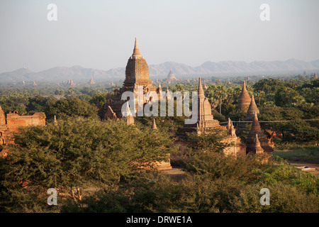 Vues aériennes des temples à Bagan, Birmanie Myanmar Banque D'Images