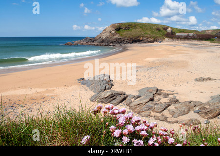 Église Gunwalloe Cove près de Helston en Cornouailles, Royaume-Uni Banque D'Images