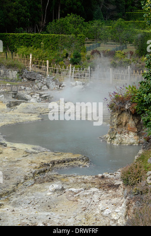 À la vapeur fumerolles, Lagoa das Furnas, l'île de São Miguel, Açores, Portugal Banque D'Images