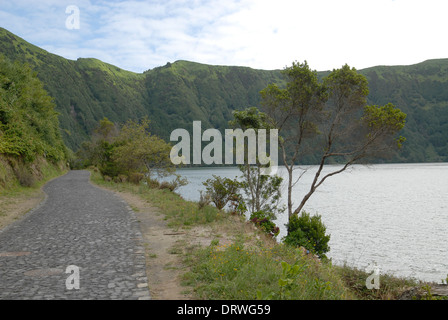 Petite route au nord de Lagoa Azul, l'île de São Miguel, Açores, Portugal Banque D'Images