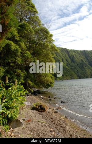 Plage au nord de Lagoa Azul, l'île de São Miguel, Açores, Portugal Banque D'Images