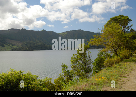 Petite route au nord de Lagoa Azul, l'île de São Miguel, Açores, Portugal Banque D'Images