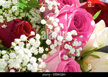 Un gros plan d'un bouquet de roses Banque D'Images