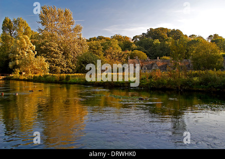 Bibury Cotswolds et la rivière Colne, Arlington Row chalets et le Rack Isle réserve naturelle sur une soirée d'été. Banque D'Images