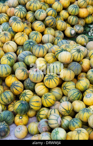 Les melons frais à la vente à un marché indien. L'Andhra Pradesh, Inde Banque D'Images