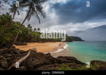 Plage, ce paysage avec la mer émeraude, plage de sable fin, et de la forêt verte Banque D'Images