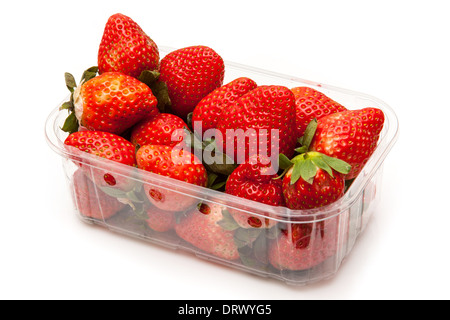 Fort ou de fraises punnett isolated on a white background studio. Banque D'Images