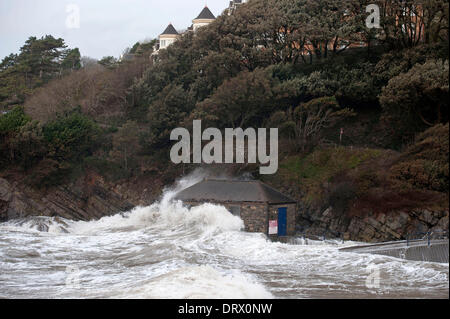 Swansea - UK - 3 Février 2014 : la cabane de sauveteur prend une battue au cours de la marée haute à Caswell Bay près de Swansea ce matin au cours de la tempête. Credit : Phil Rees/Alamy Live News Banque D'Images