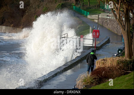 Swansea - UK - 3 Février 2014 : Un walker affronte les vagues sur le front de mer de Langland Bay près de Swansea ce matin au cours de la tempête. Credit : Phil Rees/Alamy Live News Banque D'Images