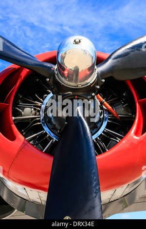 Le pulseur et Pratt & Whitney R-1830 moteur d'un WW2 B24 avion bombardier Liberator Banque D'Images