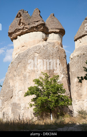 Les formations géologiques, domaine de Zelve, paysage, Cappadoce, Anatolie, Turquie, Asie Banque D'Images