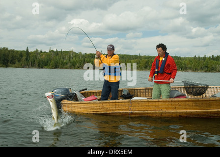 Les pêcheurs à débarquer un le grand brochet sur leur ligne à partir d'un bateau à moteur en bois sur un lac dans le Nord de l'Ontario, Canada Banque D'Images