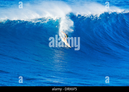 Surfeur extrême circonscription océan vagues géantes à Hawaï Banque D'Images