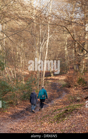 Un couple en train de marcher à Burnham Beeches en hiver, - woods à Burnham, Buckinghamshire England UK Banque D'Images