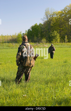 Deux chasseurs tenue de camouflage marche à travers les champs sur une chasse au dindon sauvage. Banque D'Images