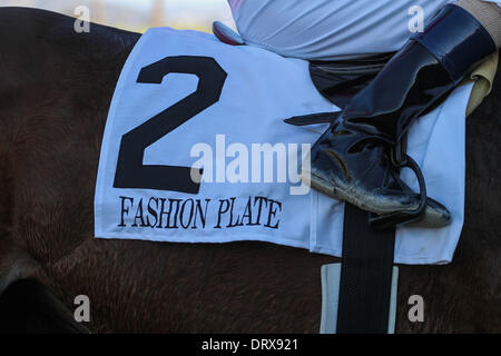 Arcadia, CA, USA. 1er février, 2014. Plaque de la mode avec Gary Stevens à bord remporte la catégorie I Las Virgenes Stakes à Santa Anita Park à Arcadia, Californie le 1 février 2014. © Zoe Metz/Eclipse/Eclipse/ZUMAPRESS.com/Alamy Sportswire Live News Banque D'Images