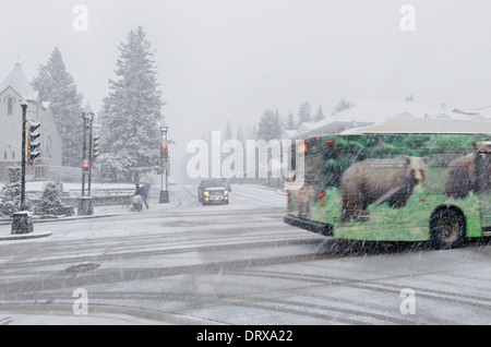 Regardez l'ours. Un bus décoré lors d'une passage de neige à Banff, Canada Banque D'Images