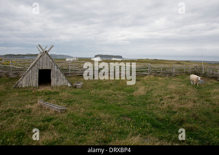 Le Canada, Terre-Neuve, L'Anse aux Meadows. Norstead Village Viking, réplique de la ferme de règlement avec des enclos. Banque D'Images