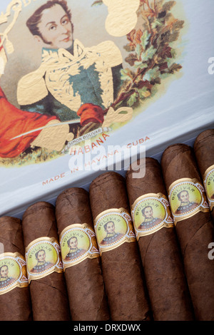 Bolivar Royal Coronas cigare cubain Banque D'Images