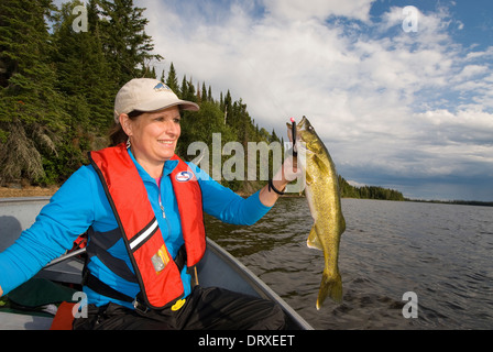 Pêcheur à la femme tenant le doré jaune d'été elle pris dans le Nord de l'Ontario, Canada. Banque D'Images