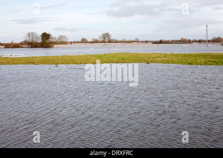 Champs de la Somerset Levels inondé en raison de verglas qui a frappé le sud-ouest en 2014 Banque D'Images