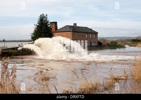 L'eau est pompée dans la rivière Parret pour faciliter l'inondation sur les niveaux de Somerset Banque D'Images