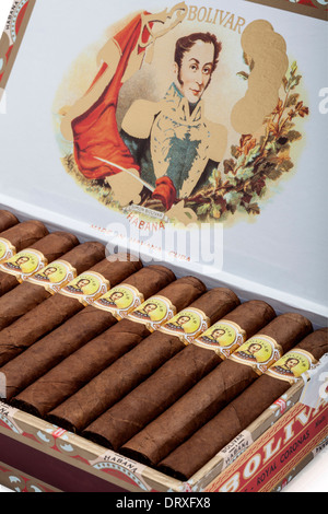 Bolivar Royal Coronas cigare cubain Banque D'Images