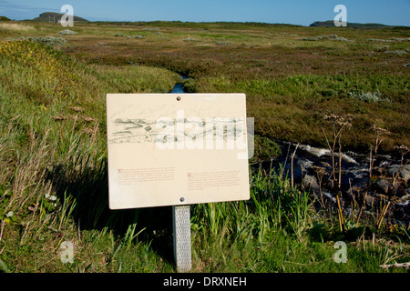 Le Canada, Terre-Neuve, L'Anse aux Meadows Lieu historique national. Seulement connu site viking en Amérique du Nord. Banque D'Images