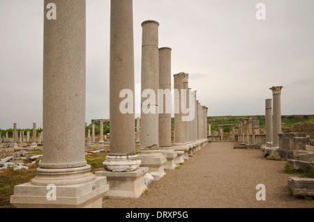 L'Asie, la Turquie, Méditerranée Occidentale, Perge (2e siècle avant J.-C.), Agora à colonnade Banque D'Images