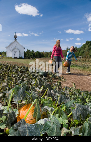 Les jeunes filles portant une citrouille à un potager. Banque D'Images