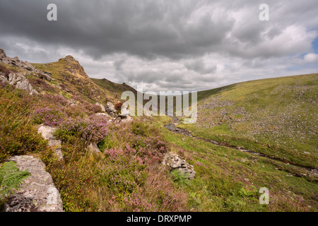 Tavy cleave au début de l'automne le parc national du Dartmoor Devon Uk Banque D'Images