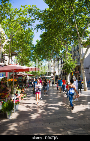 Espagne, Catalogne, Barcelone, les gens à marcher le long de l'arbre central promenade ombragée de La Rambla avenue historique passé étals de fleurs. Banque D'Images