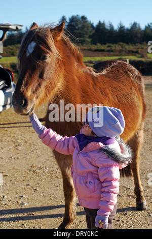 Une jeune fille a fait un poney à Bratley View, dans le parc national de New Forest, dans le parc national de New Forest, au Hampshire, au Royaume-Uni, en janvier Banque D'Images