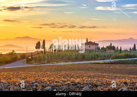 Paysage de Toscane au lever du soleil Banque D'Images