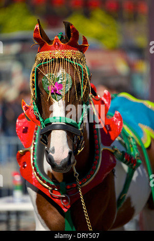 Cheval richement décoré en attente d'apparaître dans le défilé du Nouvel An chinois, à Los Angeles. Banque D'Images