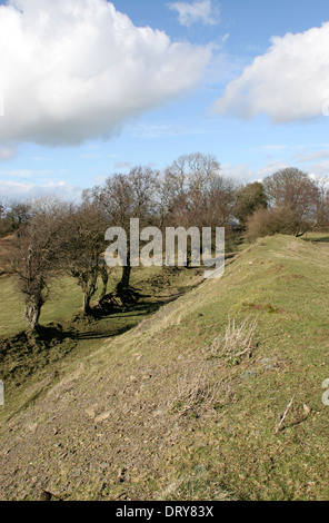 Offa's Dyke près de Kerry Ridgeway Shropshire England UK Banque D'Images