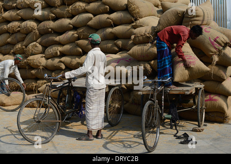 Le BANGLADESH, Tangail transport travailleur paddy en sacs en jute avec location de vélo-taxi à partir de moulin à riz près de Kalihati Banque D'Images