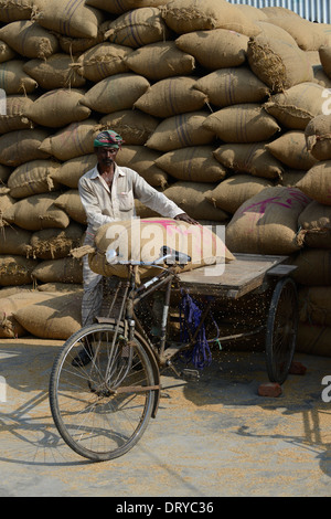 Le BANGLADESH, Tangail transport travailleur paddy en sacs en jute avec location de vélo-taxi à partir de moulin à riz près de Kalihati Banque D'Images