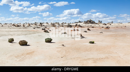 Lake Mungo est ancien lac intérieur figurent désormais dans d'étranges formations rocheuses. Banque D'Images