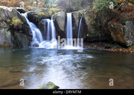 Chute d'automne Banque D'Images