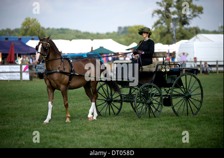 Un nouveau venu dans le secteur de la concurrence conduite à l'Edenbridge et salon de l'agriculture dans la région de Surrey Oxted Banque D'Images