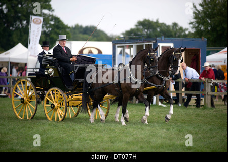 Un nouveau venu dans le secteur de la concurrence au faisceau d'Edenbridge et salon de l'agriculture dans la région de Surrey Oxted Banque D'Images